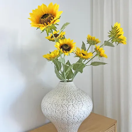 Solaris Exclusive By Junto Ao Mar